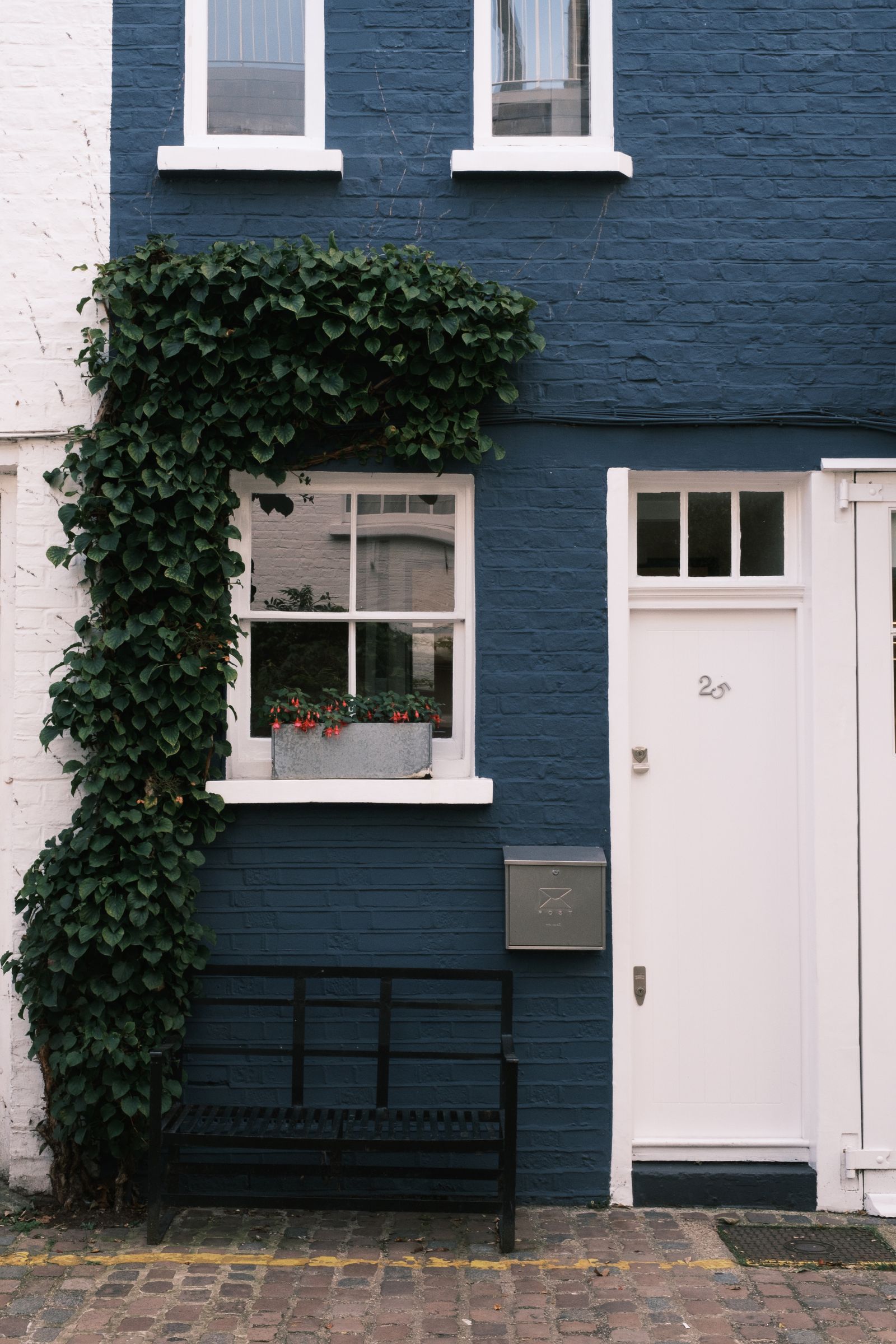 Doors & Windows